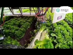 हैंडलिंग पैकेजिंग में KR DELTA रोबोट के लिए हैवी ड्यूटी कुका रोबोट आर्म सिस्टम 7 डॉफ आर्म